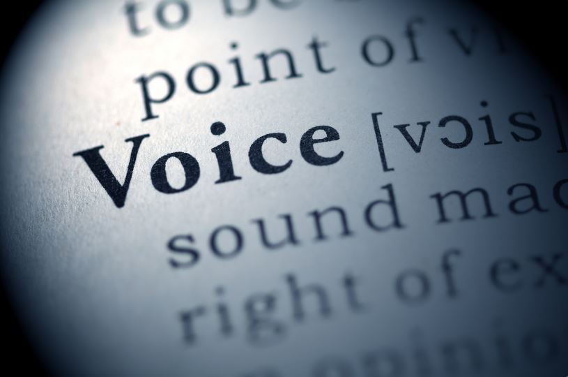 google voice for business