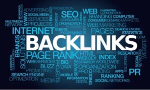 government backlinks